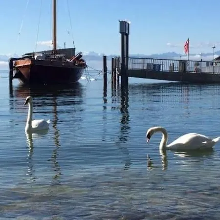 Apartament Gaestehaus Huber Immenstaad am Bodensee