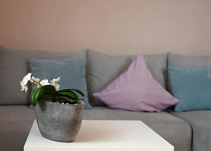 Gaestehaus Huber אימנשטאדט אם בודנזה