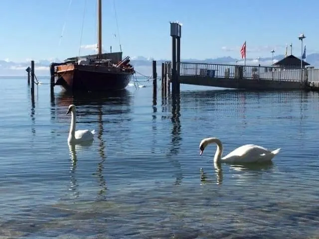 דירה Gaestehaus Huber אימנשטאדט אם בודנזה